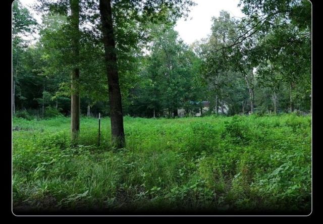 000 Panther Lane, Livingston, TX 77351
