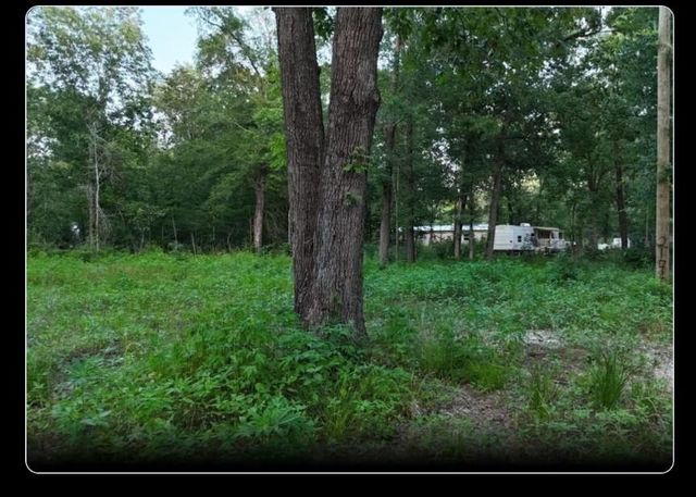 000 Panther Lane, Livingston, TX 77351