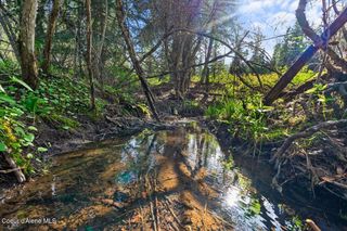 NKA Mutch Creek Road 8.3, St. Maries, ID 83861