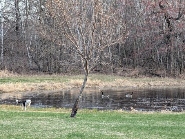 21245 Gypsy Valley Road, Nowthen, MN 55303