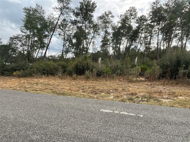 TBD SW 110TH LANE, Ocala, FL 34476