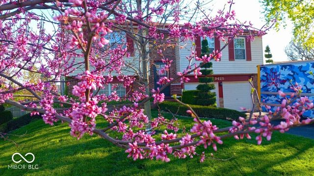 9425 Pepperidge Drive, Indianapolis, IN 46235