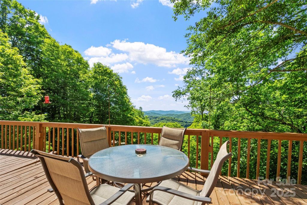 894 Mckinney Gap Drive, Mars Hill, NC 28754