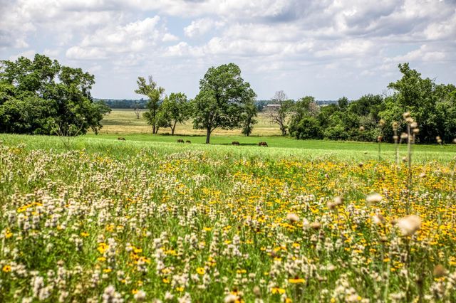 0000 Egypt Lane Lane, Washington, TX 77880