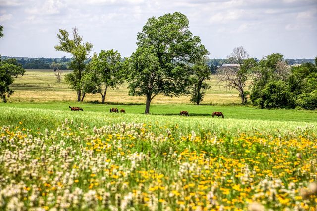 0000 Egypt Lane Lane, Washington, TX 77880