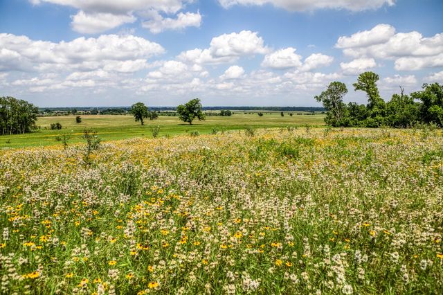 0000 Egypt Lane Lane, Washington, TX 77880