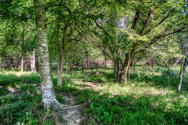 0000 Egypt Lane Lane, Washington, TX 77880