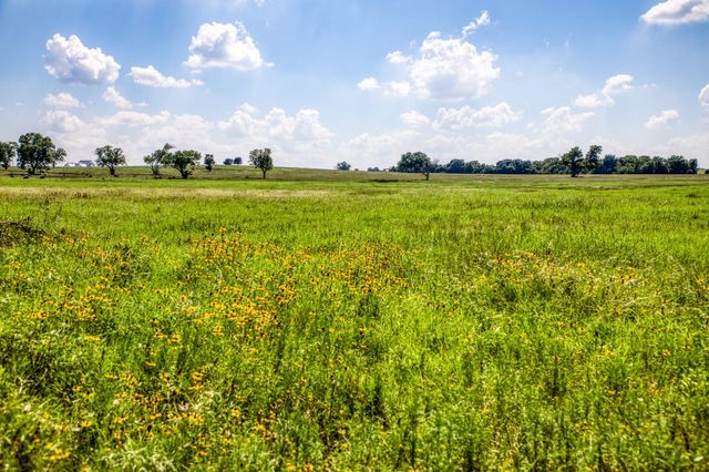 0000 Egypt Lane Lane, Washington, TX 77880