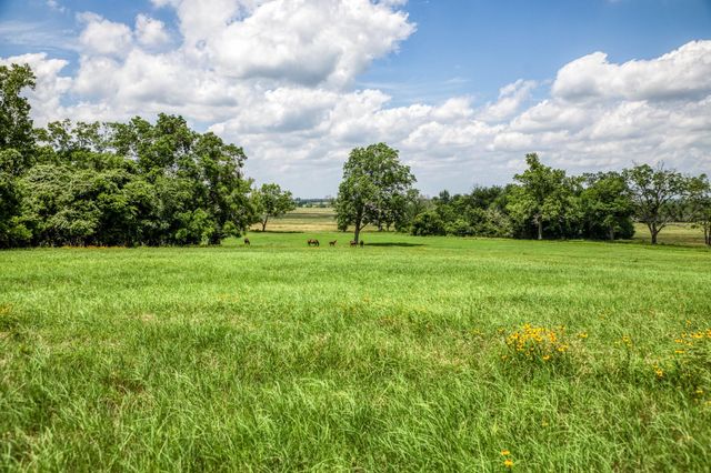 0000 Egypt Lane Lane, Washington, TX 77880