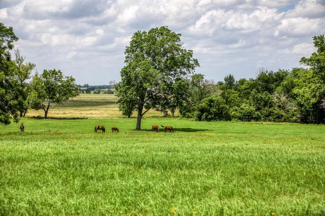 0000 Egypt Lane Lane, Washington, TX 77880