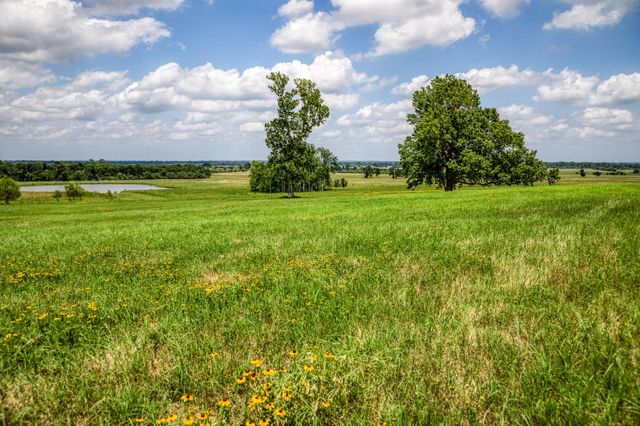 0000 Egypt Lane Lane, Washington, TX 77880