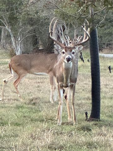 2203 Improver RD, Spicewood, TX 78669