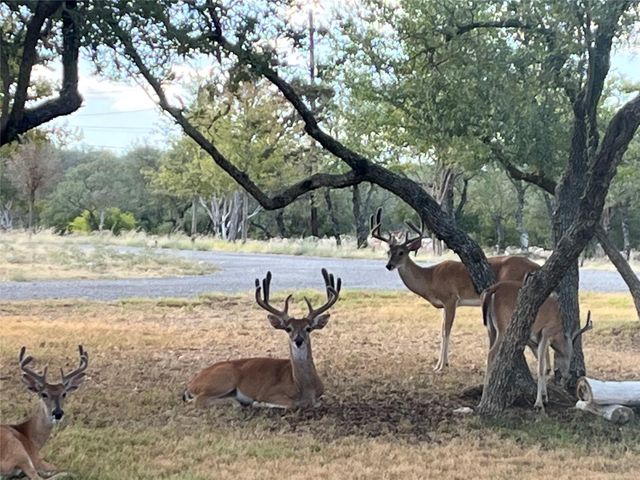 2203 Improver RD, Spicewood, TX 78669