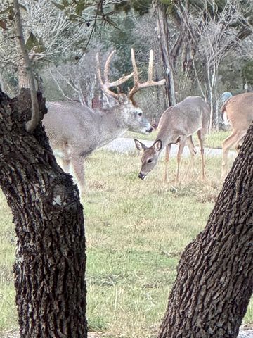 2203 Improver RD, Spicewood, TX 78669