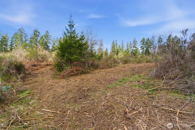 0 E McLane Cove Drive, Grapeview, WA 98546