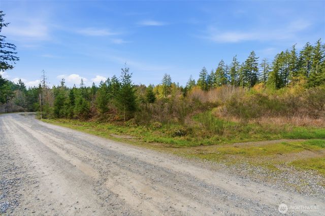 0 E McLane Cove Drive, Grapeview, WA 98546