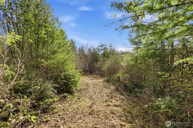 0 E McLane Cove Drive, Grapeview, WA 98546