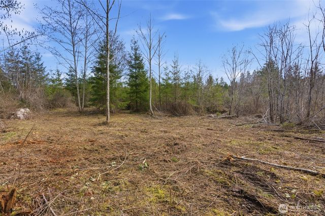 0 E McLane Cove Drive, Grapeview, WA 98546