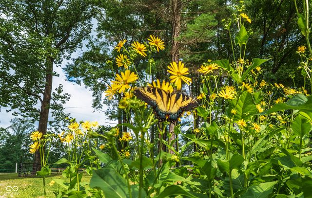 1260 N Lawrence Hollow Drive, Bloomfield, IN 47424