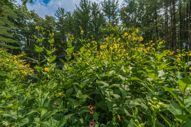 1260 N Lawrence Hollow Drive, Bloomfield, IN 47424