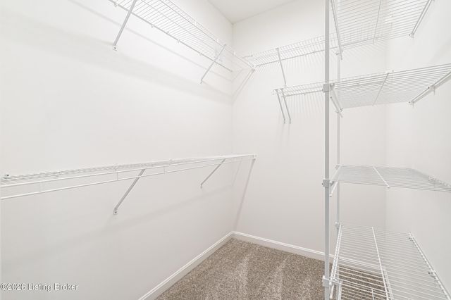 10112 Cedar Valley Ct, Louisville, KY 40291