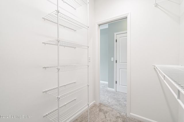 10112 Cedar Valley Ct, Louisville, KY 40291