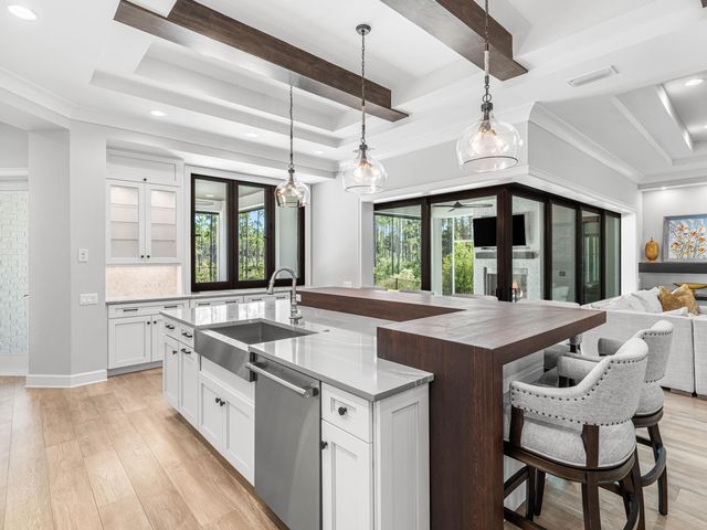 172 Norman Court, Watersound, FL 32461