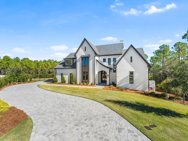 172 Norman Court, Watersound, FL 32461