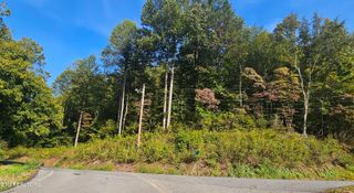 4.38 ac N Shiloh Rd, Seymour, TN 37865