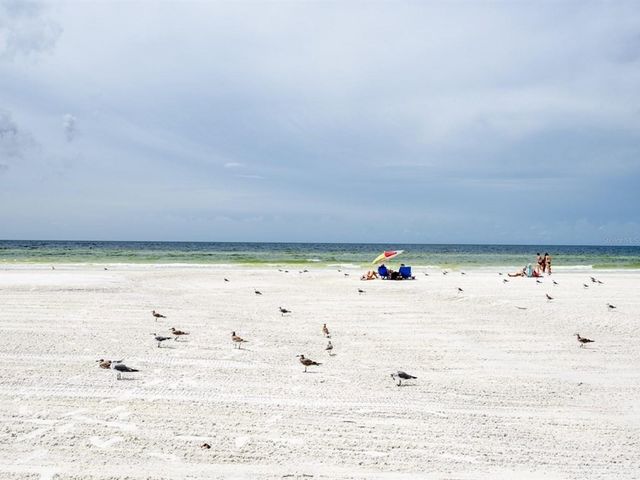 5927 DRIFTWOOD AVENUE, Sarasota, FL 34231