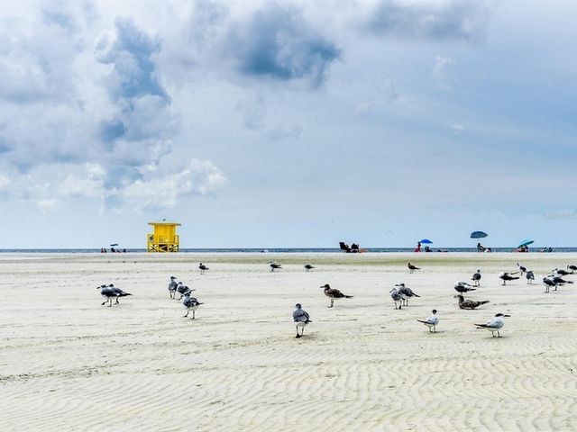 5927 DRIFTWOOD AVENUE, Sarasota, FL 34231