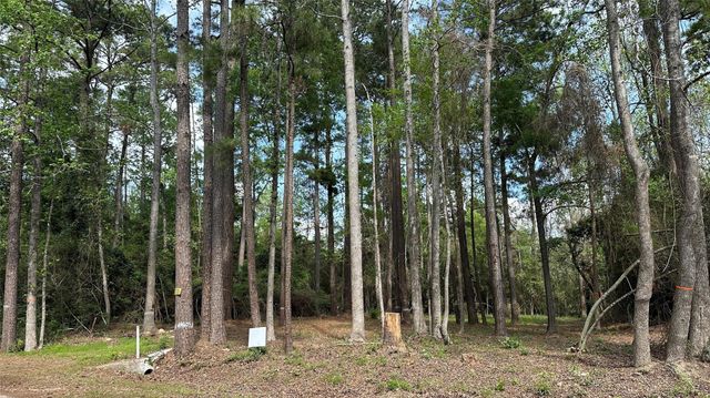 775 Huckleberry Circle, Onalaska, TX 77360