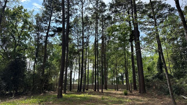 775 Huckleberry Circle, Onalaska, TX 77360