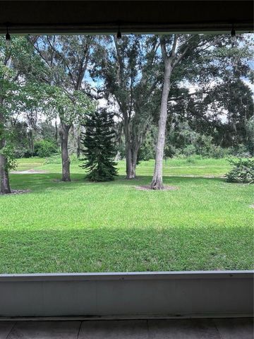 1531 MCCREA DRIVE, Lutz, FL 33549