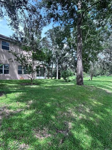 1531 MCCREA DRIVE, Lutz, FL 33549