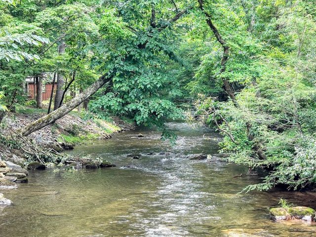 2187 Big Pine Drive, Hiawassee, GA 30546