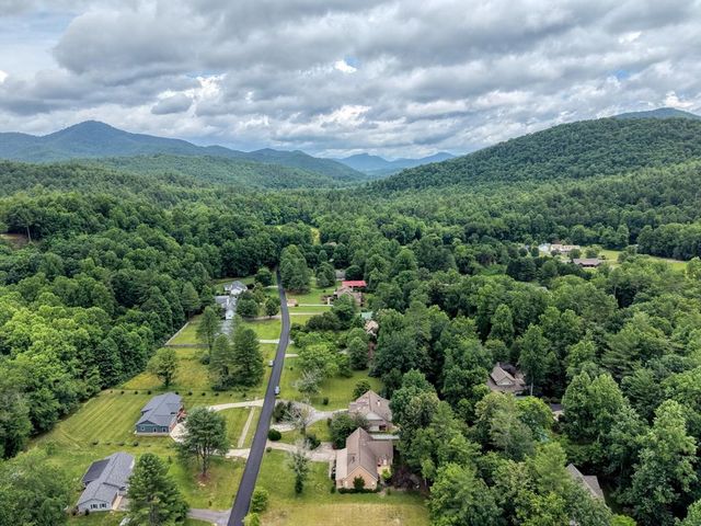 2187 Big Pine Drive, Hiawassee, GA 30546