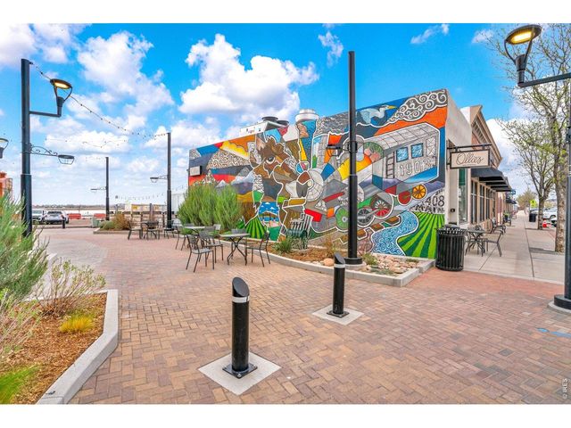 934 Milner Pass Rd, Severance, CO 80550