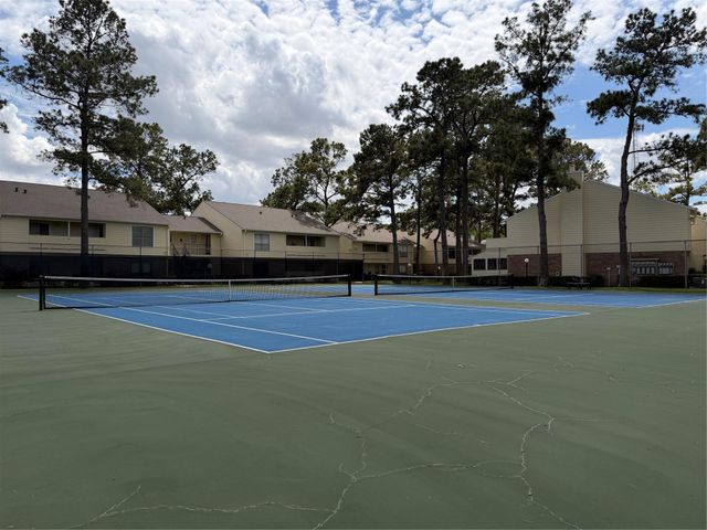 14555 Wunderlich Drive 2602, Houston, TX 77069