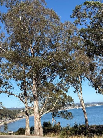 825 Balboa Avenue 205, Capitola, CA 95010