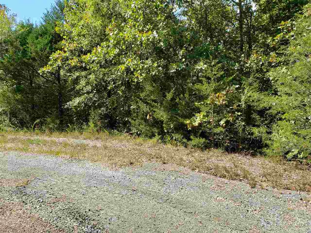 L-35, 36, B-7 Pahokee Drive, Cherokee Village, AR 72529