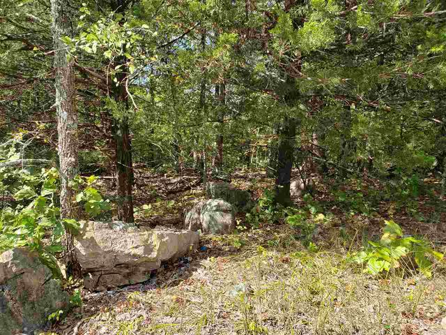 L-35, 36, B-7 Pahokee Drive, Cherokee Village, AR 72529