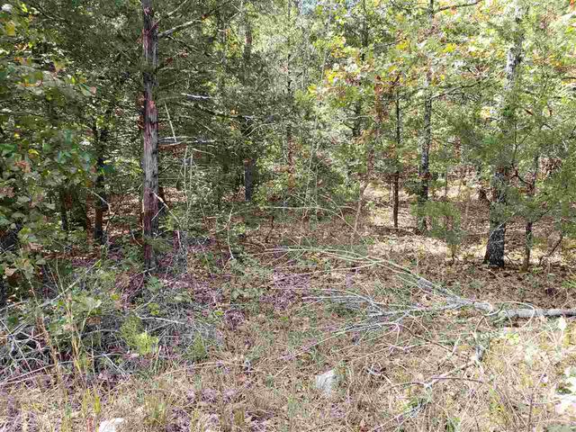L-35, 36, B-7 Pahokee Drive, Cherokee Village, AR 72529