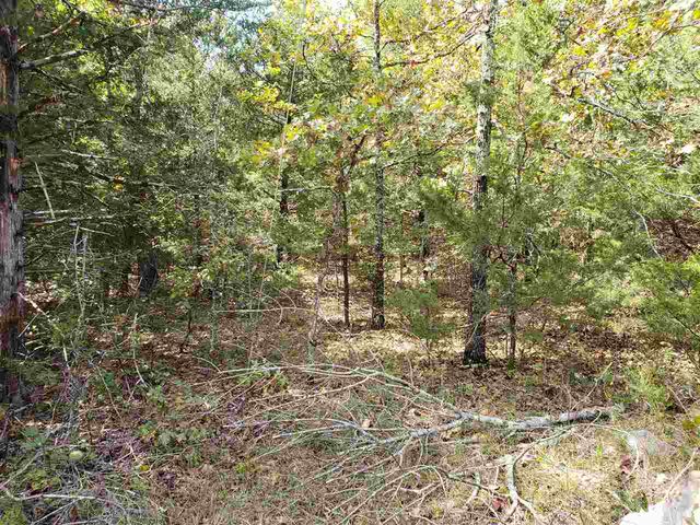 L-35, 36, B-7 Pahokee Drive, Cherokee Village, AR 72529