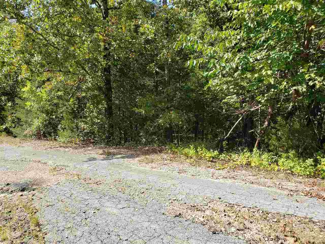 L-35, 36, B-7 Pahokee Drive, Cherokee Village, AR 72529