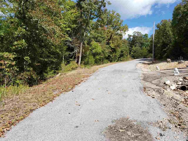 L-35, 36, B-7 Pahokee Drive, Cherokee Village, AR 72529