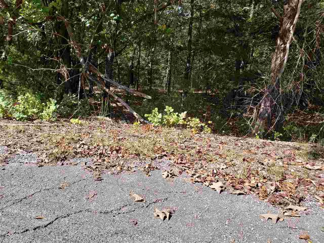 L-35, 36, B-7 Pahokee Drive, Cherokee Village, AR 72529