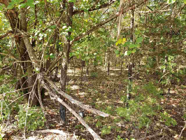 L-35, 36, B-7 Pahokee Drive, Cherokee Village, AR 72529