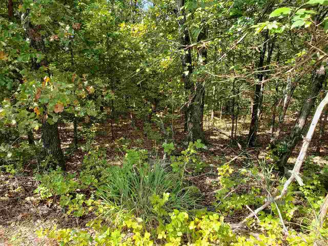 L-35, 36, B-7 Pahokee Drive, Cherokee Village, AR 72529