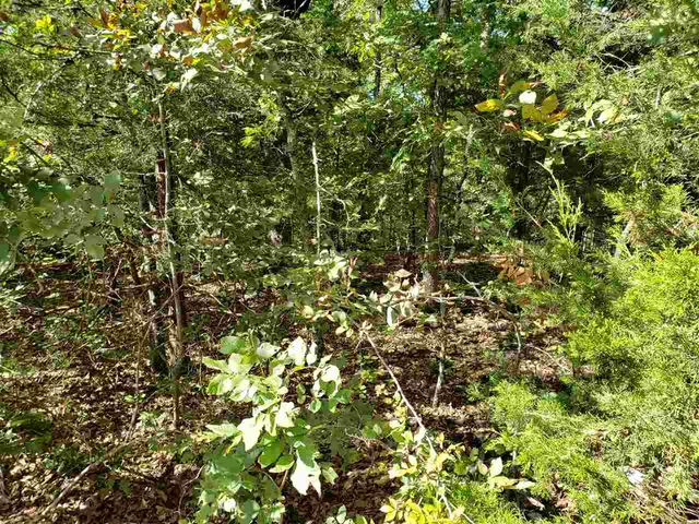 L-35, 36, B-7 Pahokee Drive, Cherokee Village, AR 72529
